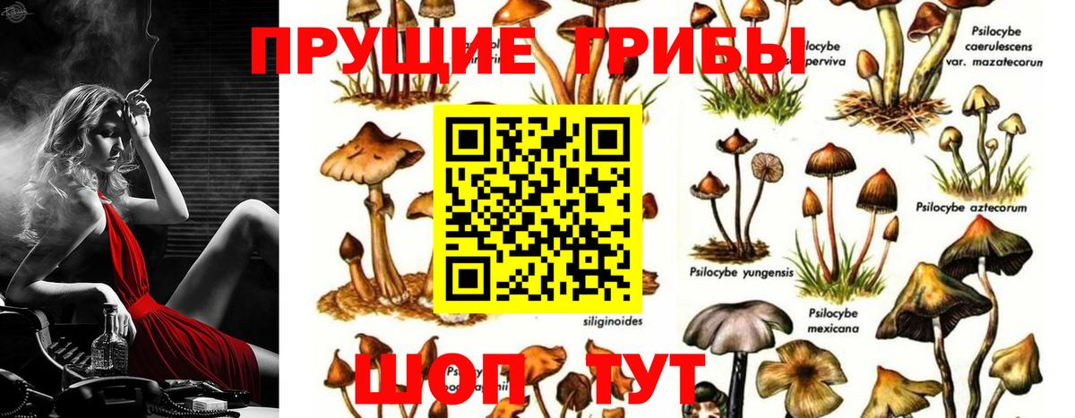 Псилоцибиновые грибы MAGIC MUSHROOMS Магадан