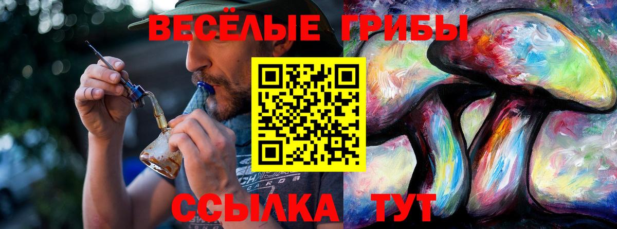 Магадан  Галлюциногенные грибы Psilocybine cubensis  Вход с VPN 