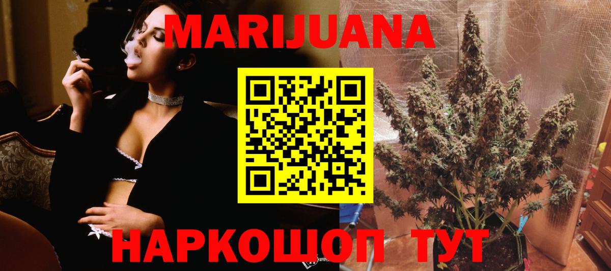 Бошки Шишки планчик  Канабис план  Марихуана семена  Магадан  Вход с VPN 